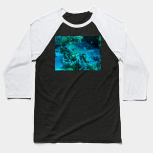 Reef Fish Baseball T-Shirt